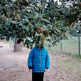 Libri fotografia: il mondo speciale di un bambino autistico raccontato attraverso una macchina fotografica